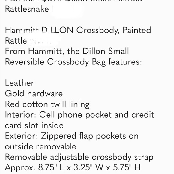 Hammitt Painted Rattle Small Dillon Crossbody Bag - Picture 16 of 16